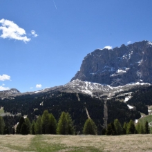 DSC_0884.JPG