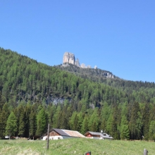 DSC_0527.JPG
