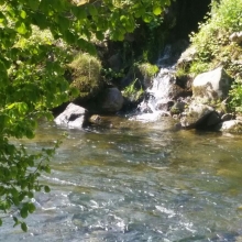 IMG-20170501-WA0086.JPG