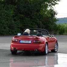 DSC_0117.JPG