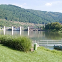 P1000126.JPG
