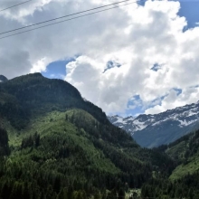 DSC_0780.JPG