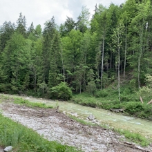Foto 01.06.19, 11 51 44.JPG