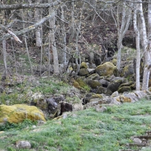 DSC_0048.JPG