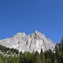 DSC_0464.JPG