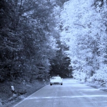 DSCF4252.JPG