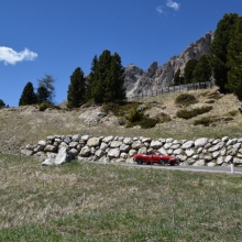 DSC_0944.JPG