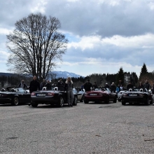 DSC_0217.JPG