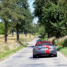 DSCF4242.JPG