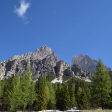 DSC_0469.JPG