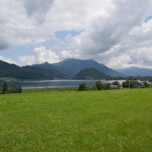 DSC_0194.JPG