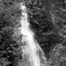 DSC_0733.JPG