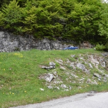 DSC_0186.JPG