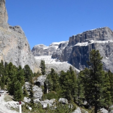 DSC_0837.JPG