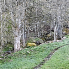 DSC_0047.JPG
