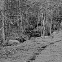 DSC_0050.JPG