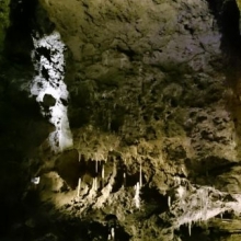 DSC_1080.JPG