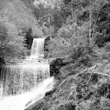 DSC_0681.JPG