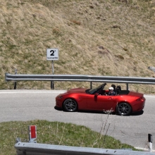 DSC_0868.JPG