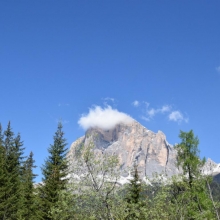 DSC_0534.JPG