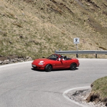 DSC_0867.JPG